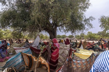 Read more about the article War in Sudan: it’s refugee crisis in Chad